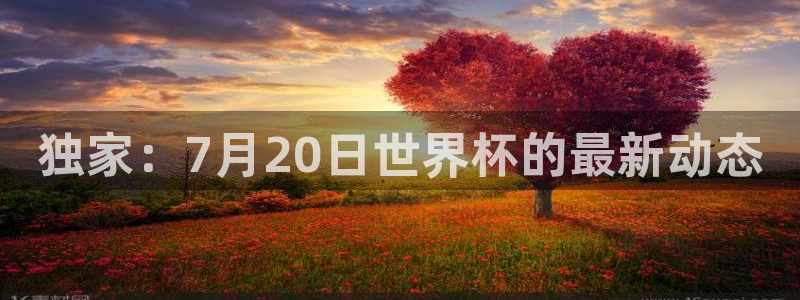 蜘蛛体育免费直播：独家：7月20日世界杯的最新动态