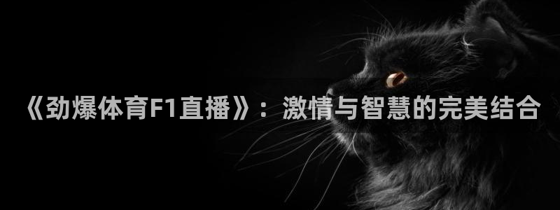 蜘蛛体育直播免费高清在线观看：《劲爆体育F1直播》：激情与智慧的完美结合