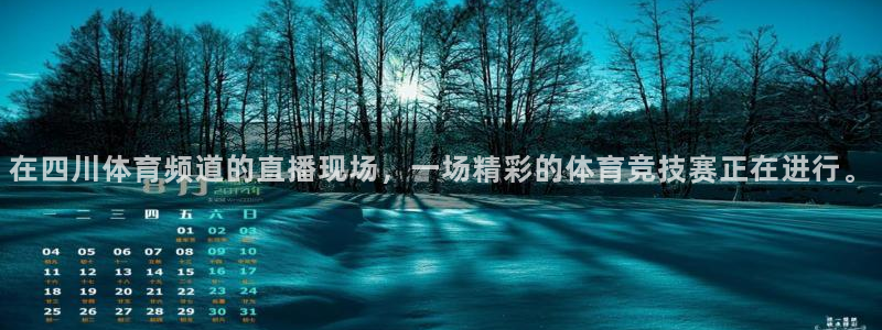 蜘蛛体育免费直播在线观看：在四川体育频道的直播现场，一场精彩的体育竞技赛正在进行。