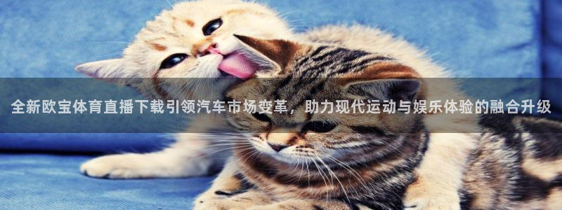 nba直播免费观看直播在线蜘蛛直播：全新欧宝体育直播下载引领汽车市场变革，助力现代运动与娱乐体验的融合升级