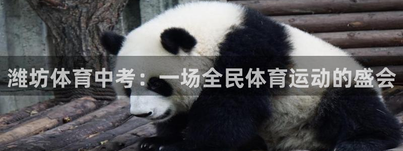蜘蛛直播体育nba：潍坊体育中考：一场全民体育运动的盛会