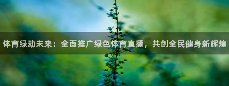 蜘蛛篮球：体育绿动未来：全面推广绿色体育直播，共创全民健身新辉煌