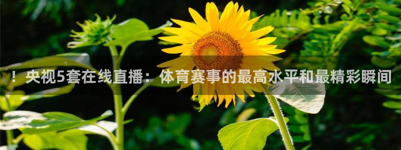 蜘蛛直播nba在线观看：！央视5套在线直播：体育赛事的最高水平和最精彩瞬间