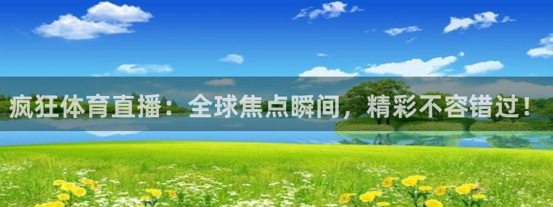 足球小蜘蛛：疯狂体育直播：全球焦点瞬间，精彩不容错过！