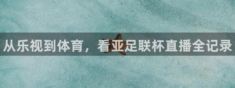 蜘蛛体育直播app下载官网：从乐视到体育，看亚足联杯直播全记录