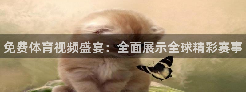 蜘蛛直播体育免费直播：免费体育视频盛宴：全面展示全球精彩赛事
