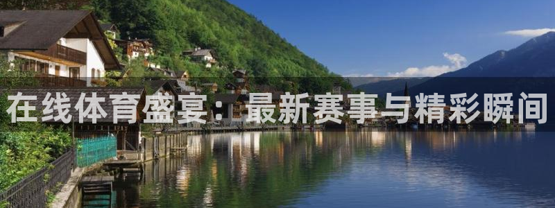 蜘蛛直播体育免费直播：在线体育盛宴：最新赛事与精彩瞬间