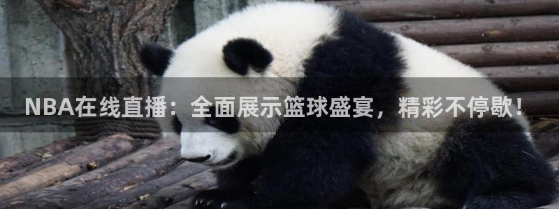 jrs蜘蛛直播nba免费：NBA在线直播：全面展示篮球盛宴，精彩不停歇！