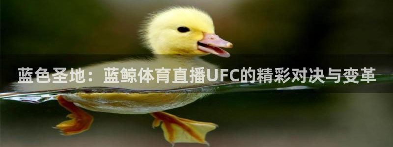 蜘蛛直播体育app：蓝色圣地：蓝鲸体育直播UFC的精彩对决与变革
