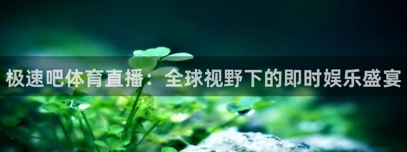 足球小蜘蛛：极速吧体育直播：全球视野下的即时娱乐盛宴