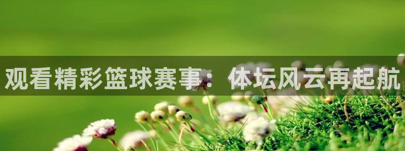 蜘蛛nba直播免费观看：观看精彩篮球赛事：体坛风云再起航