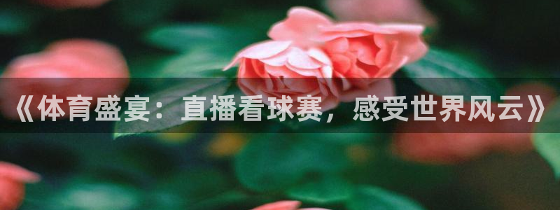 蜘蛛体育nba：《体育盛宴：直播看球赛，感受世界风云》