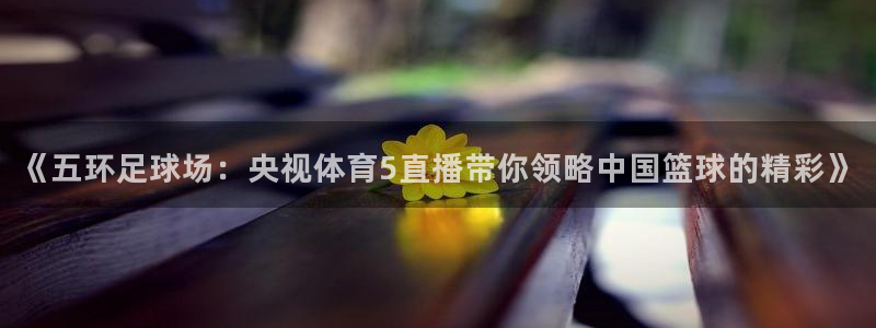 nba蜘蛛直播：《五环足球场：央视体育5直播带你领略中国篮球的精彩》