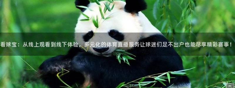 nba蜘蛛免费直播：看球宝：从线上观看到线下体验，多元化的体育直播服务让球迷们足不出户也能尽享精彩赛事！
